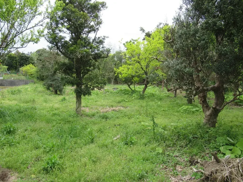 Slide 4