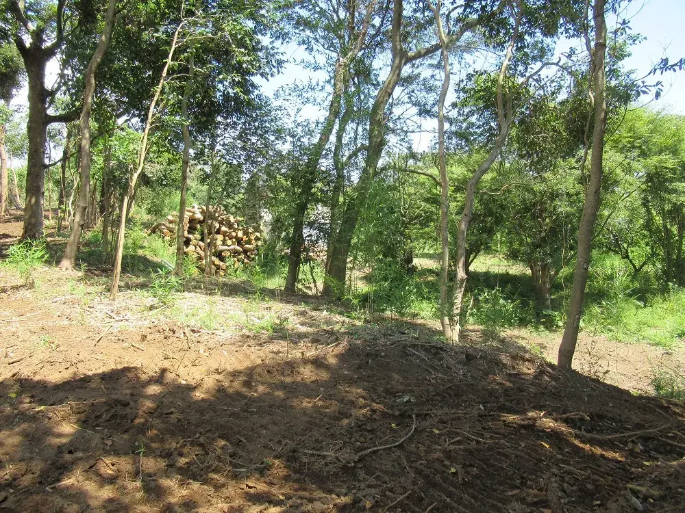 Slide 8