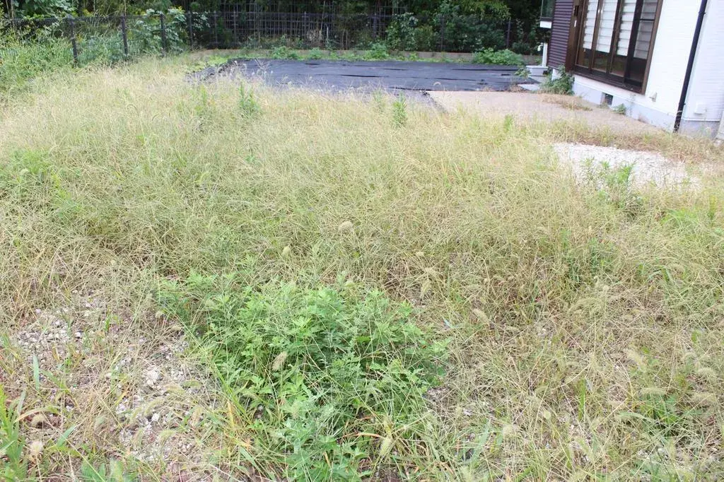 Slide 3
