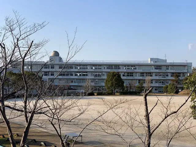 Slide 5