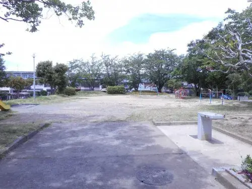 Slide 6