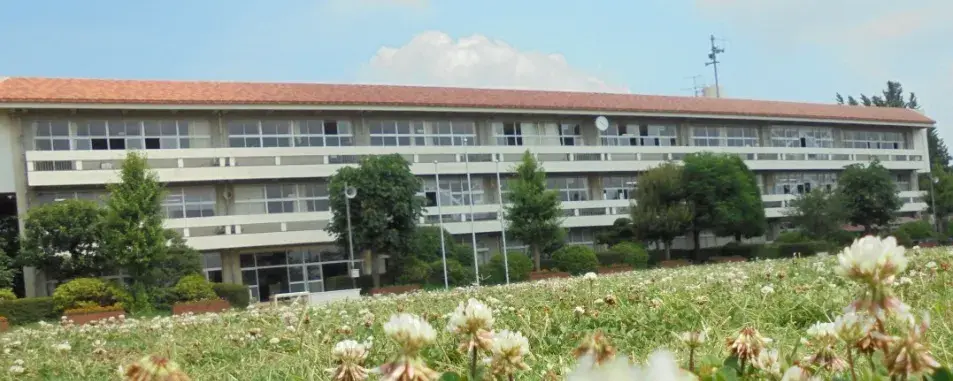 Slide 8