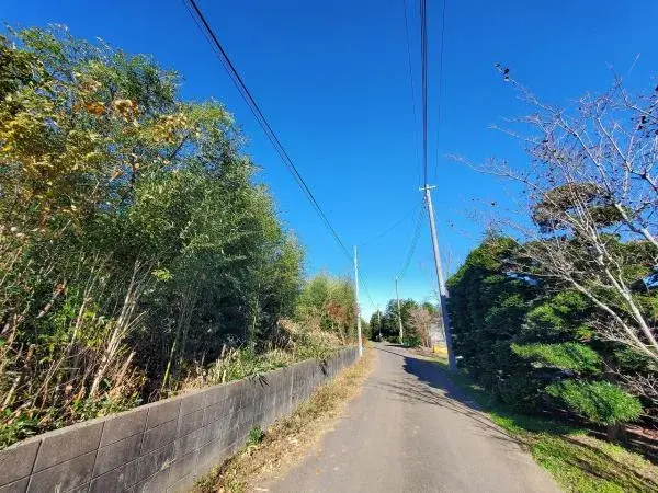 Slide 17