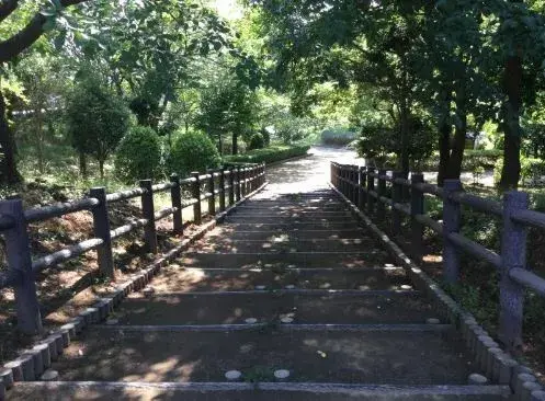Slide 0