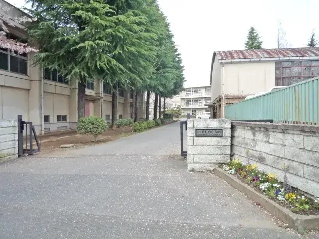 Slide 0