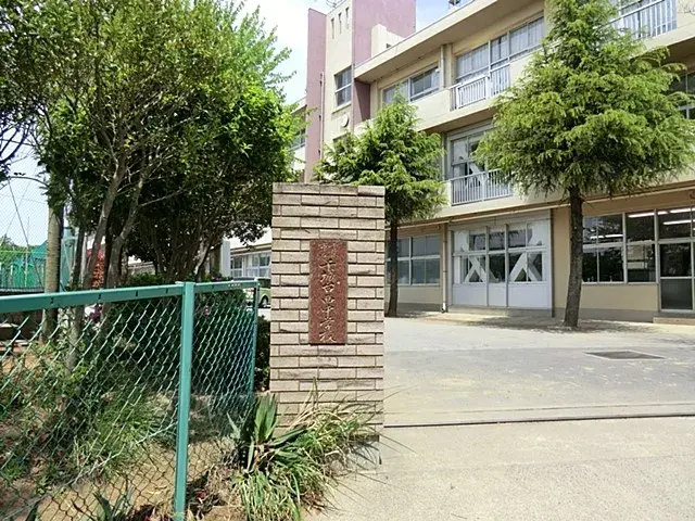 Slide 7
