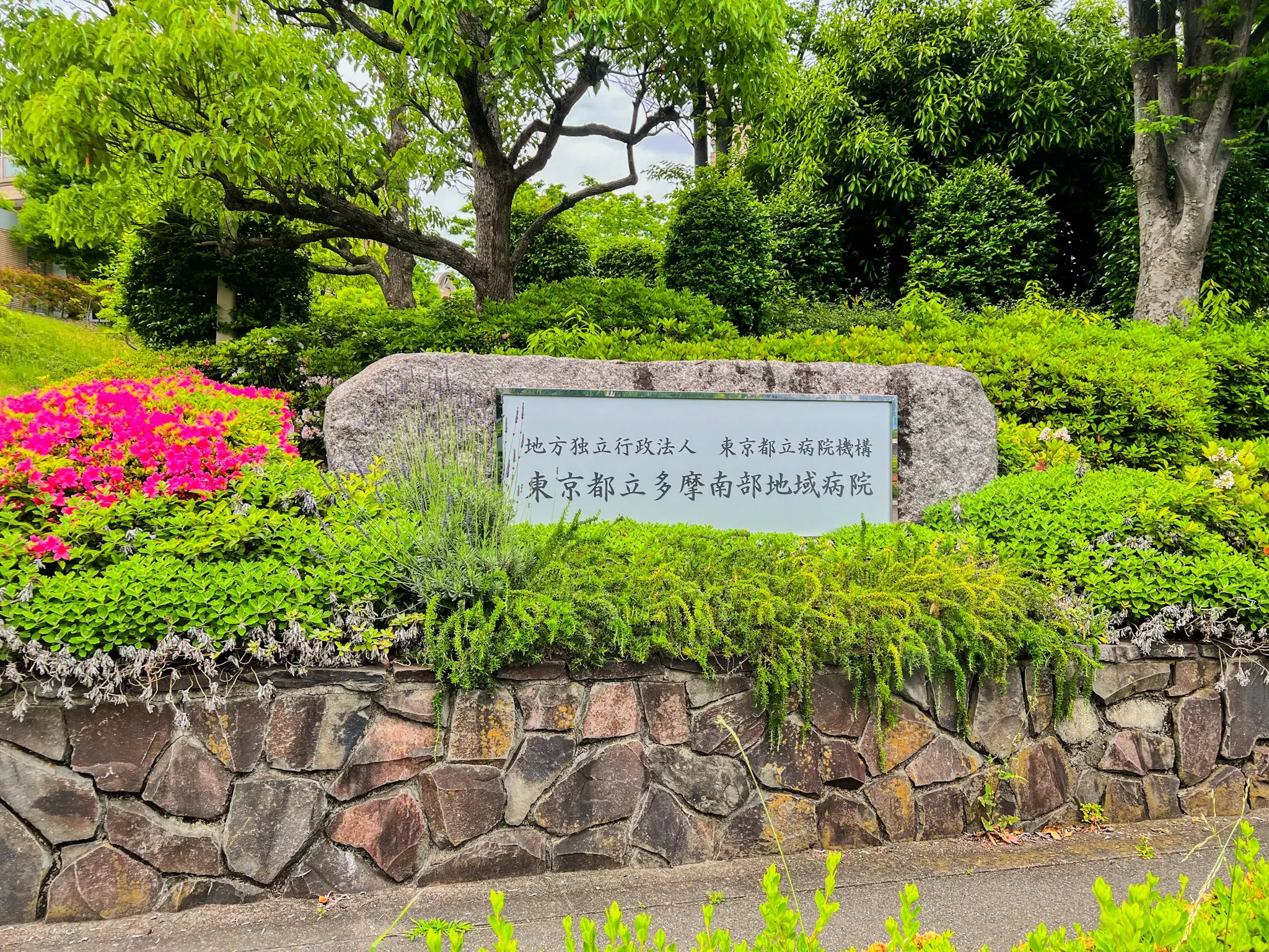 Slide 17