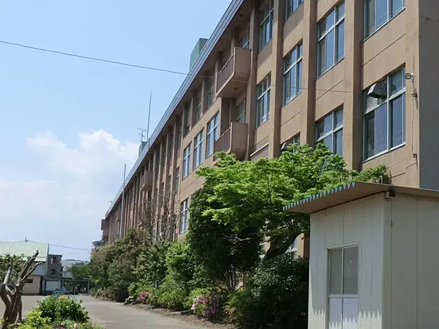 Slide 6