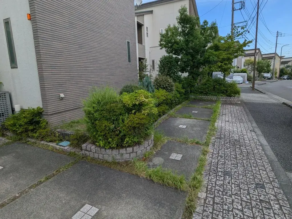 Slide 3
