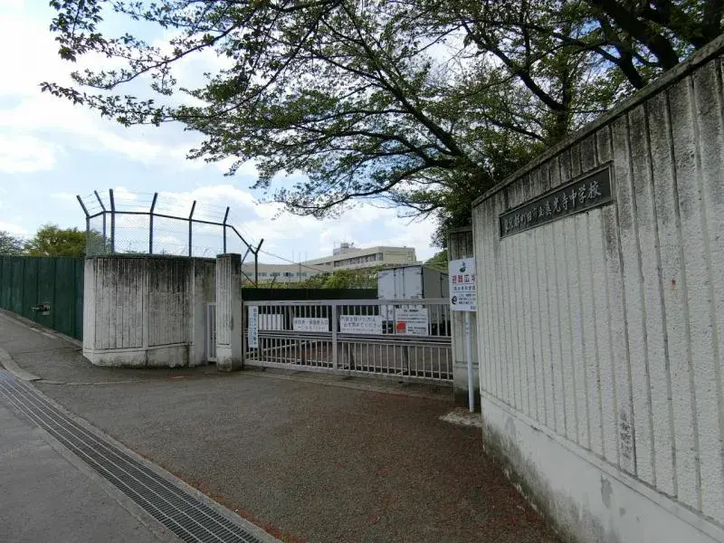 Slide 7