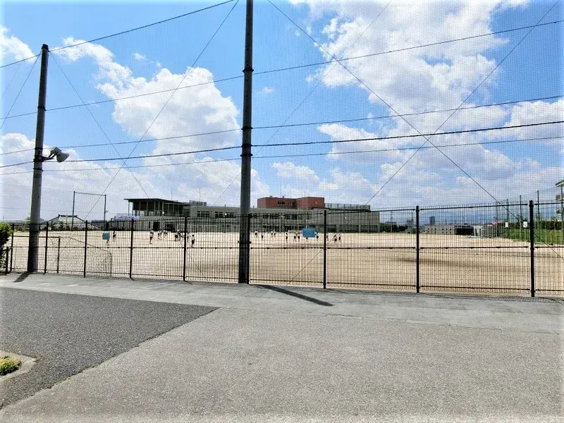 Slide 8
