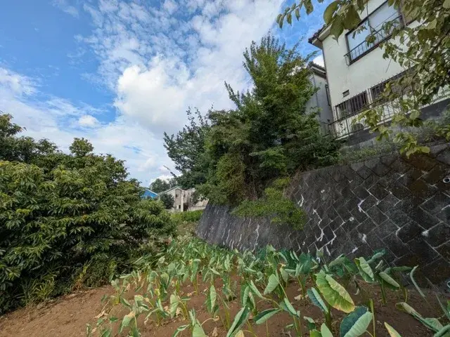 Slide 9