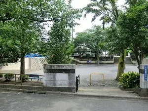 Slide 17
