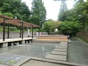Slide 4