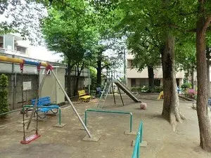 Slide 5