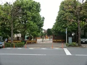 Slide 6