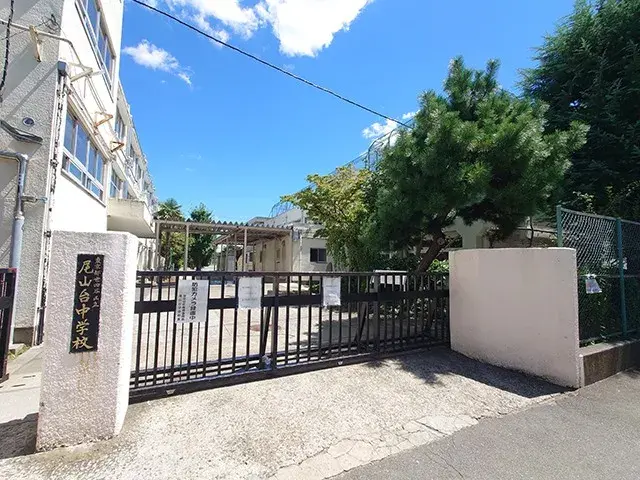 Slide 5