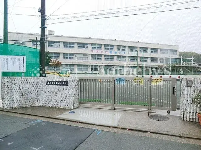 Slide 6