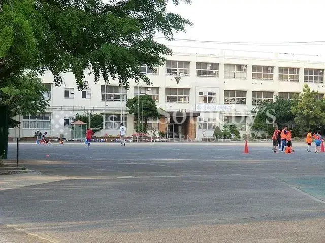 Slide 6