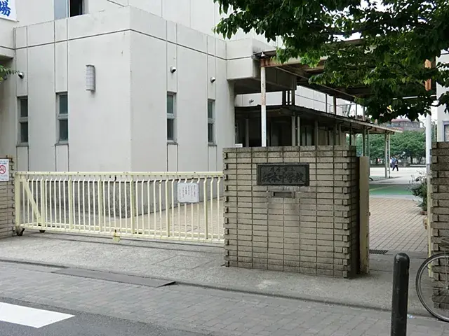 Slide 5