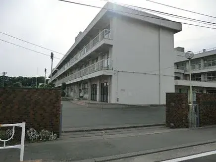 Slide 5