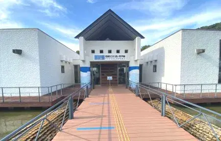 Slide 4