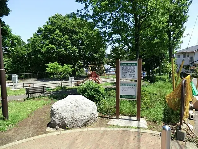Slide 6