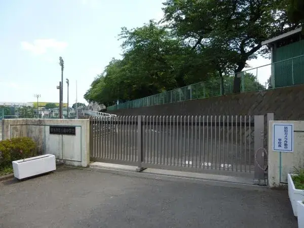 Slide 6