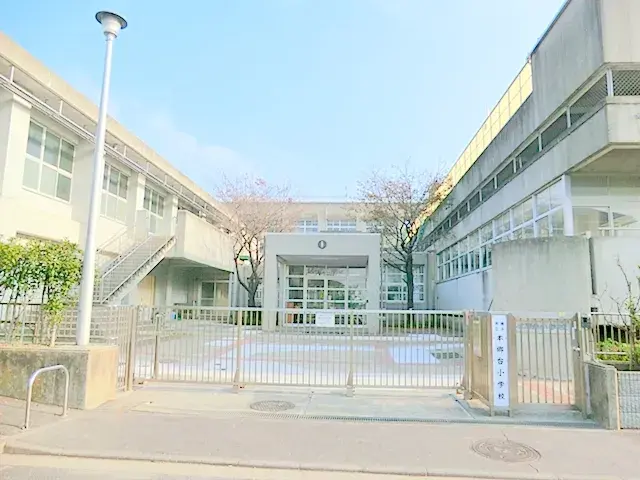 Slide 7