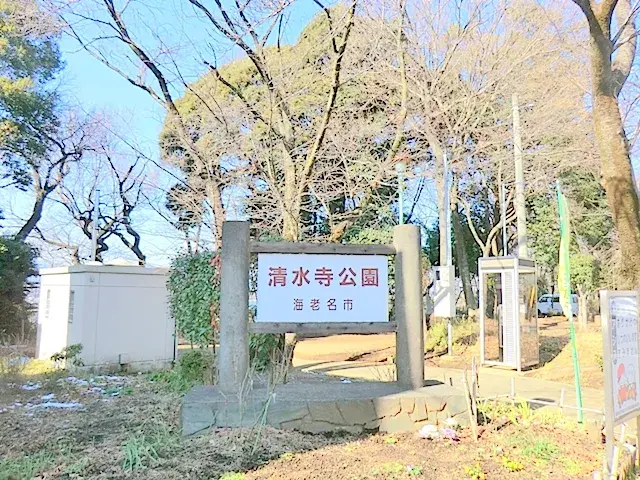 Slide 6