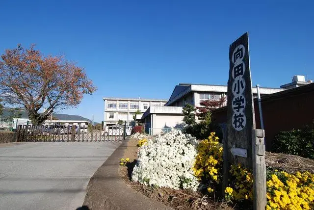 Slide 8