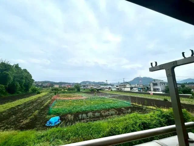 Slide 8