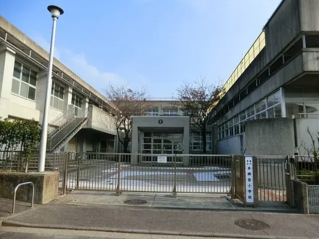 Slide 5