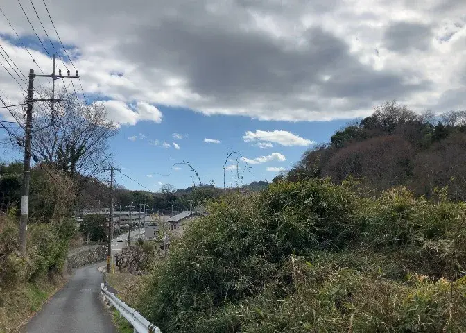 Slide 17