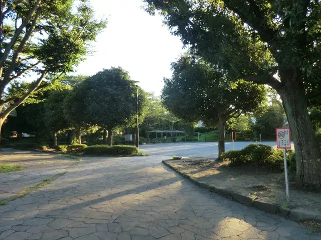 Slide 7
