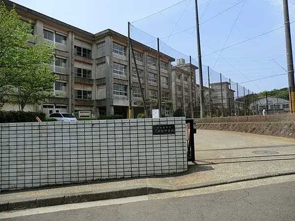 Slide 19