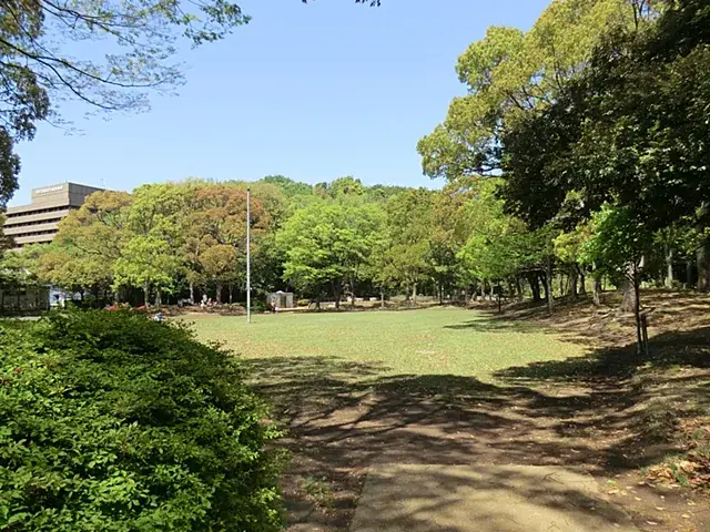 Slide 3
