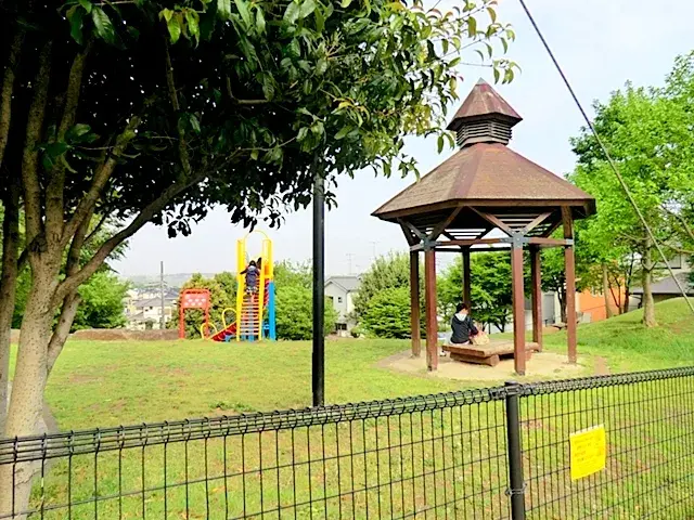 Slide 17
