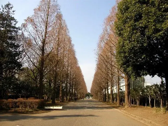 Slide 9