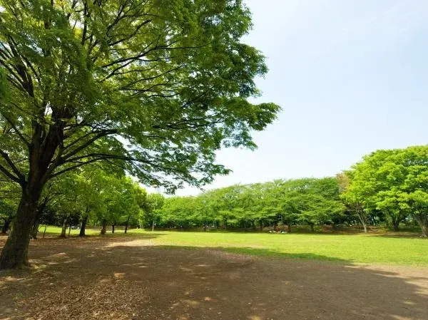 Slide 24