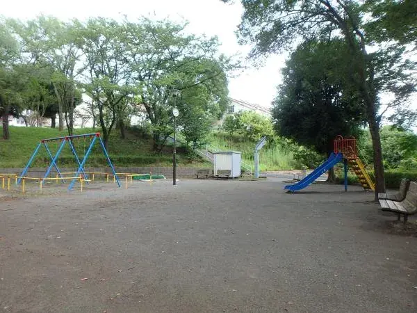 Slide 6