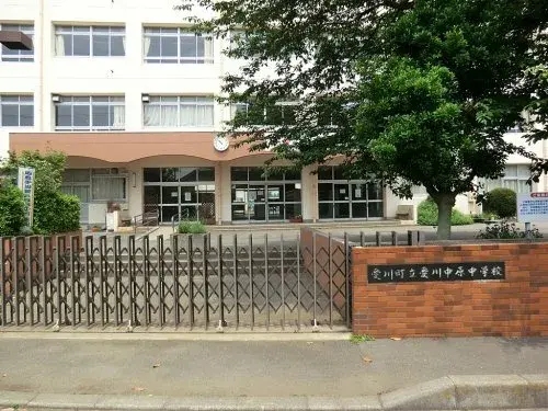 Slide 5