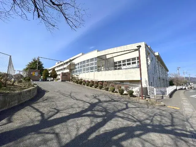 Slide 7