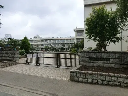 Slide 8