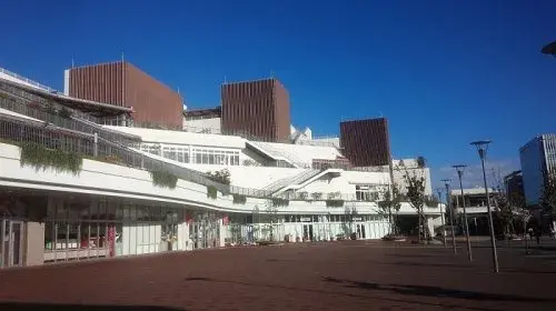 Slide 8