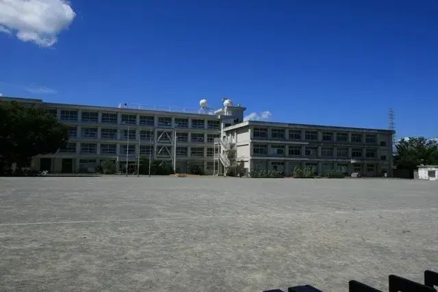 Slide 29
