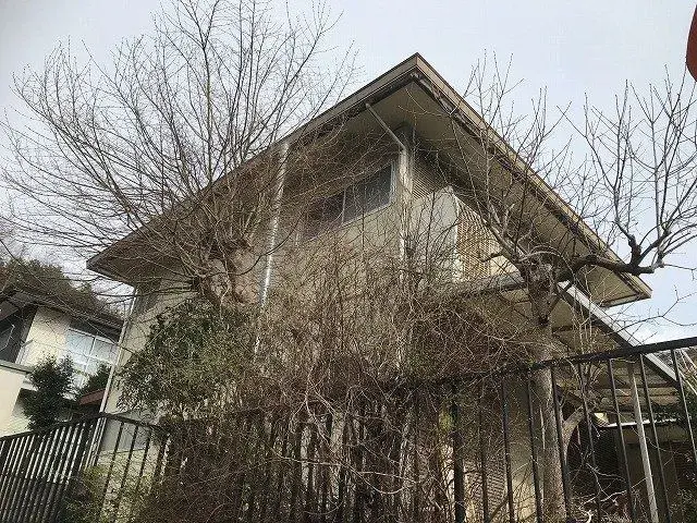 Slide 1