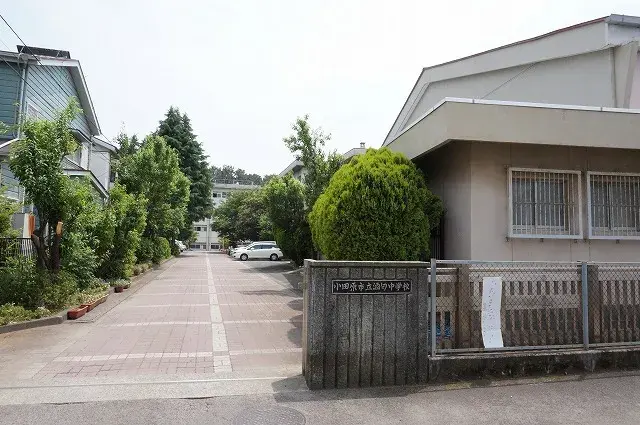 Slide 4