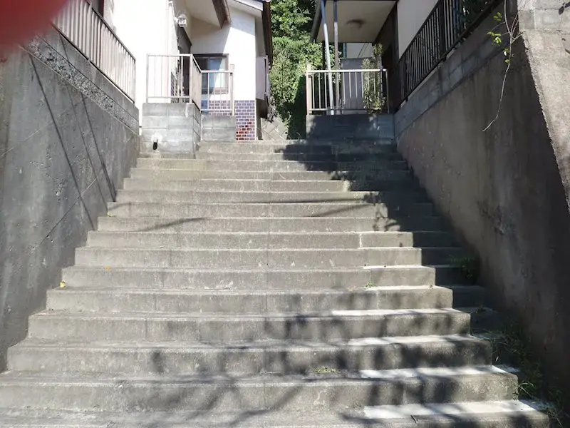 Slide 4