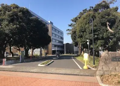 Slide 8